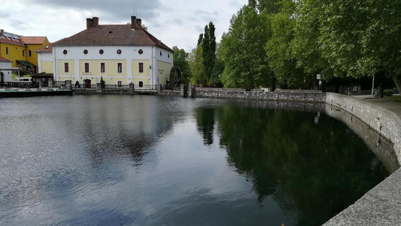 Ferienwohnung Monika Apartman Tapolca Exterior foto